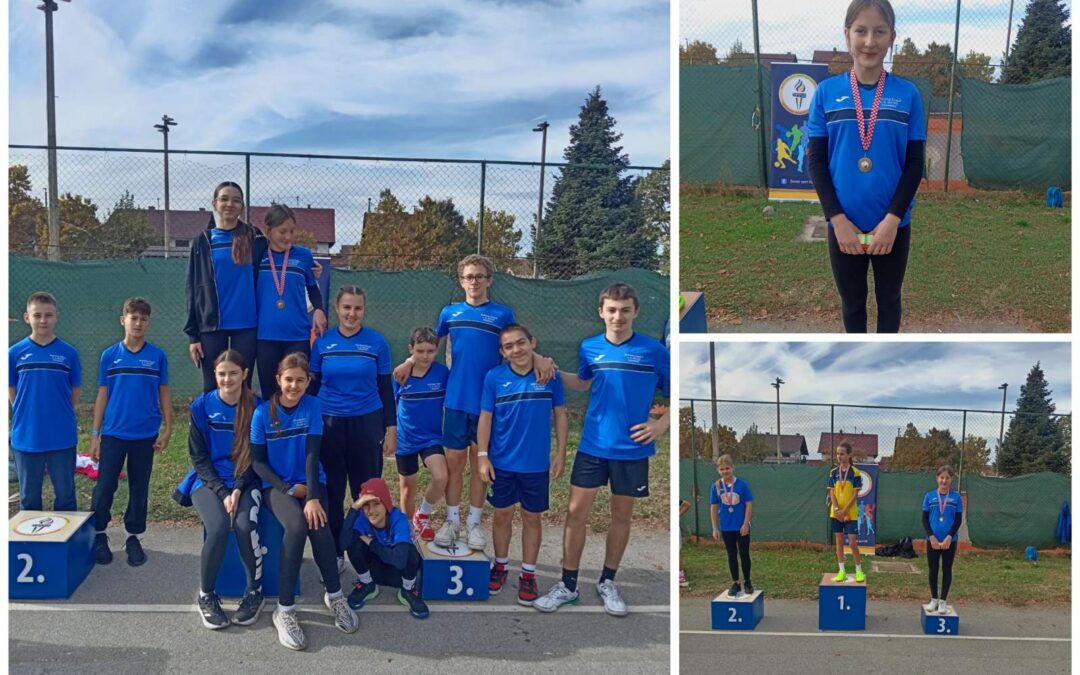 Županijsko natjecanje u krosu